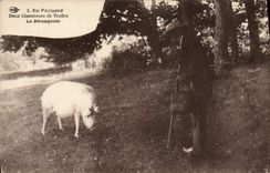 CPA Cochon Porc Folklore en Perigord Deux chercheurs de truffes La recompense 