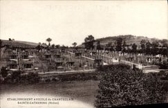 VINTAGE POSTCARD avicolous Establishment of Chanteclair Sainte Catherine Miel Bee