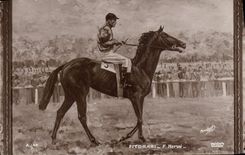 CPA Cheval Equitation Hippisme Fiterari Herve 