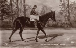 VINTAGE POSTCARD Horse Horsemanship Hippisme Fiterari Howes