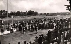 MODERN CARD Horse Horsemanship Hippisme Vichy racecourses
