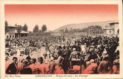 VINTAGE POSTCARD Horse Horsemanship Hippisme Cavaillon Hippodrome weighing