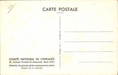 VINTAGE POSTCARD Boat Trawler of large sin collecting its trawl Wooden bowl