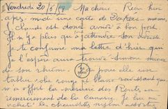 CPA Illustrateur Spahn Perroquet Oiseau