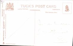 VINTAGE POSTCARD Illustrator Shapleaca egg Marine Eggs TOP