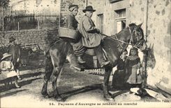 VINTAGE POSTCARD Folklore Peasants of Auvergne going to the market Horse TOP
