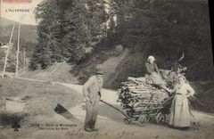CPA Folklore Auvergne Dans la montagne Descente du bois TOP