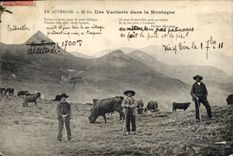 CPA Folklore Auvergne Une vacherie dans la montagne Vaches TOP