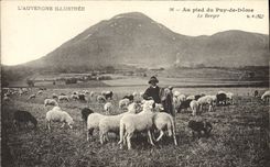 CPA Folklore Auvergne Au pied du Puy de Dome Le berge Moutons