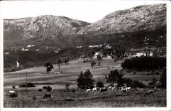 CPA Thorenc Vue Generale Et Col De Bleyne Vaches