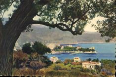 CPA Cote D'Azur Beaulieu