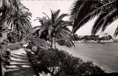 CPM Beaulieu Sur Mer Le Jardin Exotique La villa Kerylos
