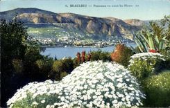 VINTAGE POSTCARD Beaulieu Panorama Seen Between the Flowers