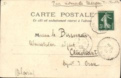 VINTAGE POSTCARD Cochon Pig Folklore the harvest of truffle Groups sympathetic nerve harvest TOP