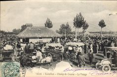 CPA Cheval Equitation Hippisme Cavaillon Champ de courses Le pesage TOP