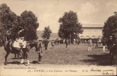 VINTAGE POSTCARD Horse Horsemanship Hippisme Vittel races the pesahge