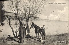 CPA Cheval Equitation Hippisme Gedeon Gros au pansage 