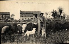 CPA Les scenes champetres Le berge du village Moutons