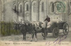 CPA Auvergne Blanchisseuses de Nohanent Vache TOP