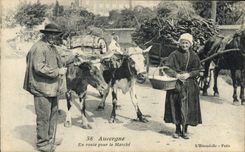 CPA Auvergne En route pour le marche Folklore