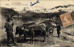 VINTAGE POSTCARD Auvergne a coach of the country Cows