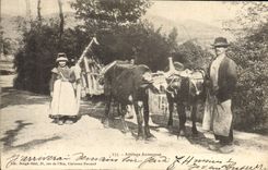 VINTAGE POSTCARD Coach Auvergnant Folklore