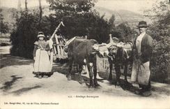 VINTAGE POSTCARD Coach Auvergnat Cows Folklore