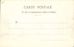 VINTAGE POSTCARD Coach Auvergnat Cows Folklore