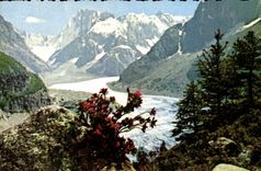 MODERN CARD Mont Blanc sea of ice Solid mass of Large Jorasses