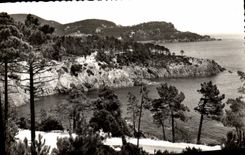 CPM La Corniche D'Or Les Calanques