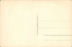 CPM Vichy Le Parc Du Casino Et Les Hotels