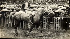 CPA Cheval Equitation Hippisme Waterford monte par Head 