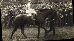 CPA Cheval Equitation Hippisme Heros XII monte par G Mitchell