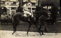 CPA Cheval Equitation Hippisme Pomare monte par Sharpe