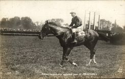 CPA Cheval Equitation Hippisme Arrowhead monte par G Mitchell