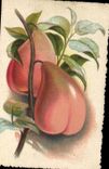 CPA Erotique Fruits 