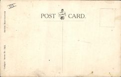 VINTAGE POSTCARD Fantasy Illustrator Dog Meat