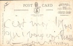 VINTAGE POSTCARD Fantasy Illustrator Child Baby Easter Chicks