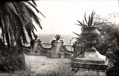 MODERN CARD Theoule a corner of the terrace