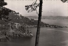 CPM Theoule Villa St Camille Vue de l'Esquillon