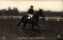 CPA Cheval Equitation Hippisme Sao Paulo monte par Winkfield