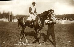 VINTAGE POSTCARD Cheval Horsemanship Hippisme Biribi goes up by Torterolo