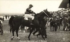 CPA Cheval Equitation Hippisme Nouvel an monte par H Milton 