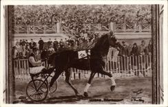 VINTAGE POSTCARD Horse Horsemanship Hippisme Ulysses Tcherkassoff