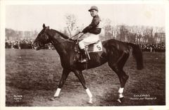 CPA Cheval Equitation Hippisme Colombo monte par Hamel