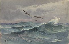 CPA Fantaisie Illustrateur Mer Mouettes 