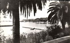CPM Beaulieu Sur Mer Vue Sur la Mer et le Cap Ferrat