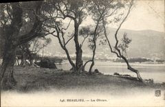 CPA Beaulieu Les Oliviers