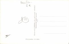 CPA Beaulieu sur Mer Le chateau de Madrid sur son roc 