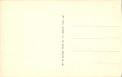 VINTAGE POSTCARD Rigny Worn the Castle